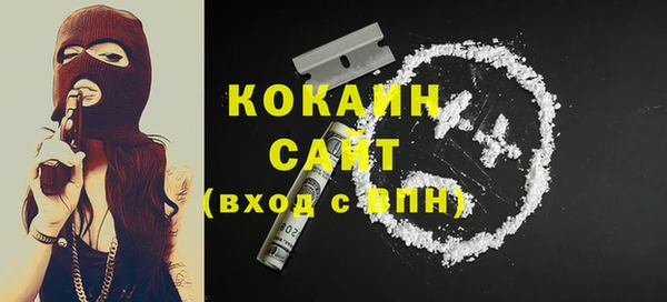 дживик Абинск