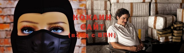 дживик Абинск