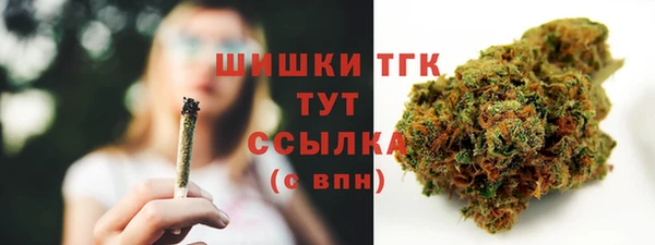 винт Абаза